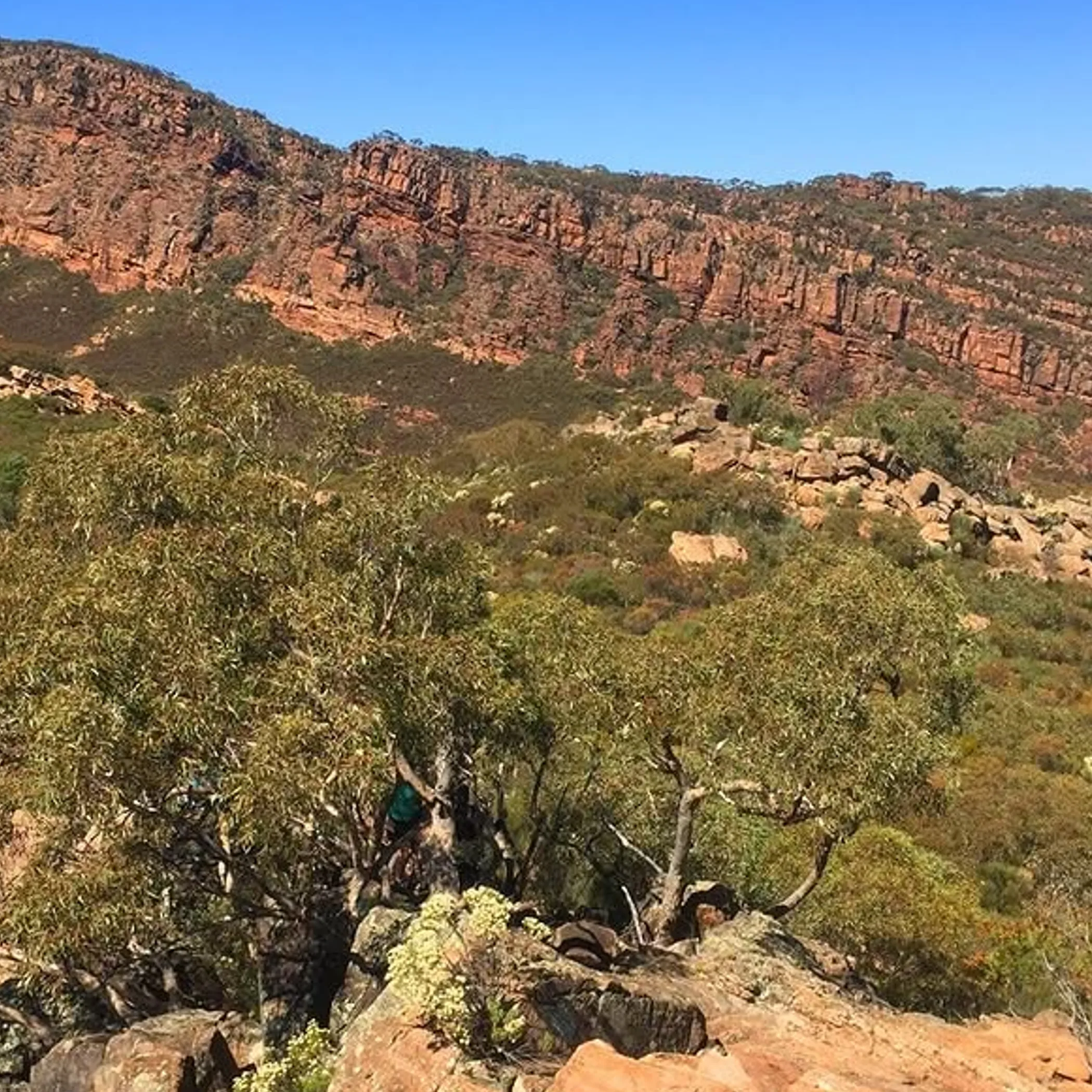 rugged australian hiking terrain