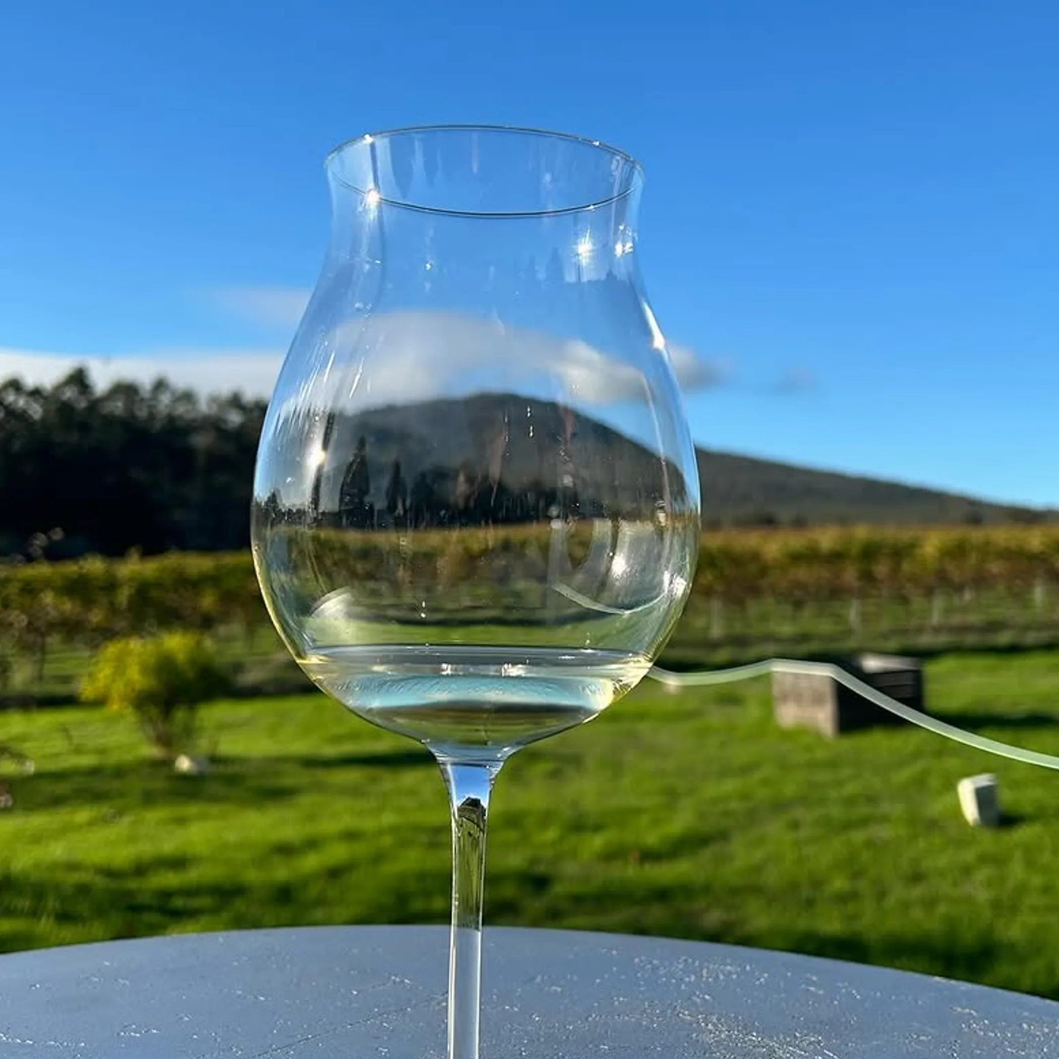 wine tourism in australian wine region